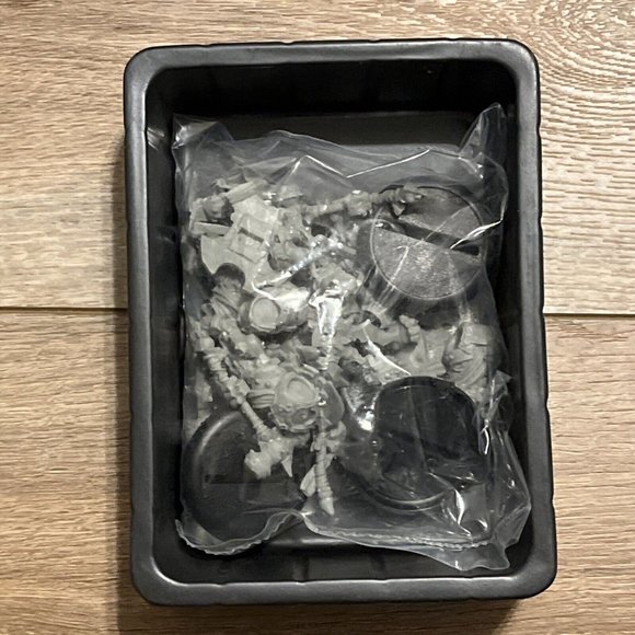 Hordes Trollbloods Trollkin Wanders Plastic Miniature Kit 71074 Privateer Press - Picture 6 of 7